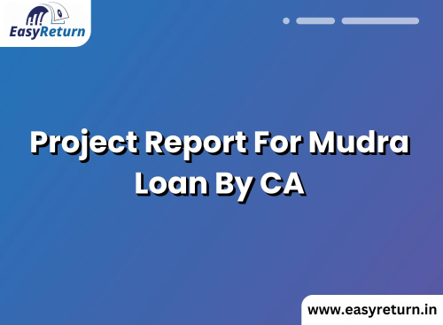 Project Report for Mudra Loan